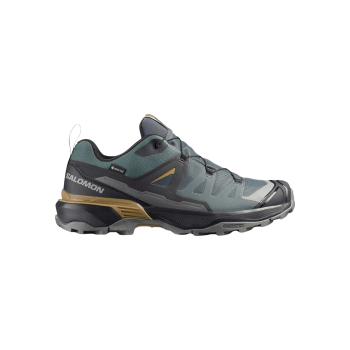 Salomon X Ultra 360 Gtx