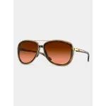 412918-Brown Tortoise