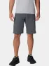 Columbia Silver Ridge Cargo Short Férfi Rövidnadrág 028-Grill