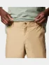Columbia Washed Out Short Férfi Rövidnadrág 245-Crouton