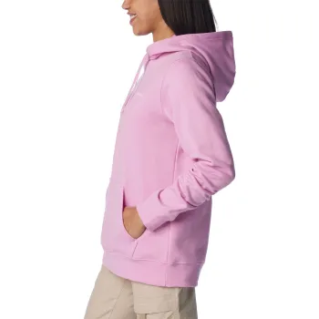 Columbia Trek Graphic Hoodie