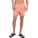 335-salmon