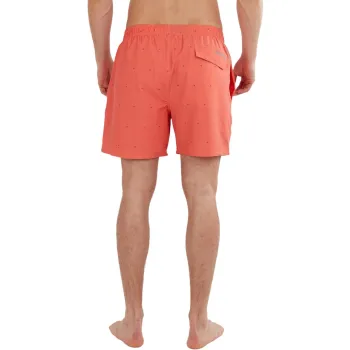 Fundango Bono Print Boardshort