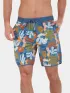 Fundango Neal Boardshorts Fundango Neal Boardshorts Férfi Beachshort 498-blue pattern