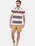 Fundango Incognito Stripe Poloshirt Férfi Galléros póló 380-plum