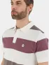 Fundango Incognito Stripe Poloshirt Férfi Galléros póló 380-plum