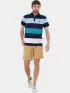 Fundango Incognito Stripe Poloshirt Férfi Galléros póló 450-lake