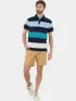 Fundango Incognito Stripe Poloshirt Férfi Galléros póló 450-lake