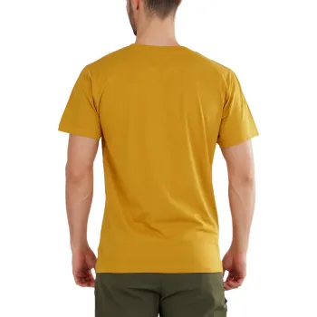 Fundango Basic-T Logo 12