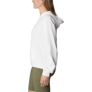 Columbia Columbia Logo III French Terry Hoodie