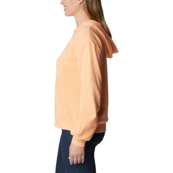 Columbia Columbia Logo III French Terry Hoodie