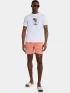 Nautica Vallone 6  Swim Short Férfi Beachshort 723-Terracotta