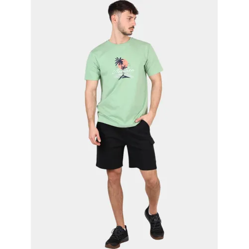 Nautica Raphael T-Shirt Férfi Póló 572-Pistachio