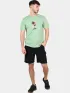 Nautica Raphael T-Shirt Férfi Póló 572-Pistachio