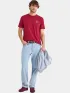 Nautica Narmada T-Shirt Férfi Póló 807-Dark Red