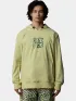 The North Face M Tekno Logo Hoodie Férfi Pulóver 1OD-Nettle
