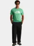 The North Face M Evolution Half Dome Regular Short Slee Férfi Póló G57-Dimmed Algae