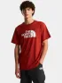 The North Face M Evolution Half Dome Regular Short Slee Férfi Póló G6I-Iron Clay