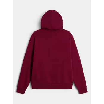 The North Face W Evolution Simple Dome Regular Hoodie