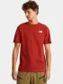 The North Face M Vertical Regular Short Sleeve Tee-Grap Férfi Póló G6I-Iron Clay
