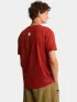 The North Face M Vertical Regular Short Sleeve Tee-Grap Férfi Póló G6I-Iron Clay