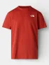 The North Face M Vertical Regular Short Sleeve Tee-Grap Férfi Póló G6I-Iron Clay