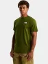The North Face M Box Nse Celebration Regular Short Slee Férfi Póló BRI-Woodland Green