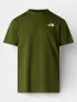 The North Face M Box Nse Celebration Regular Short Slee Férfi Póló BRI-Woodland Green