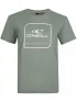 O'Neill LW Cube Ss T-Shirt Női Póló 6082-Lily Pad