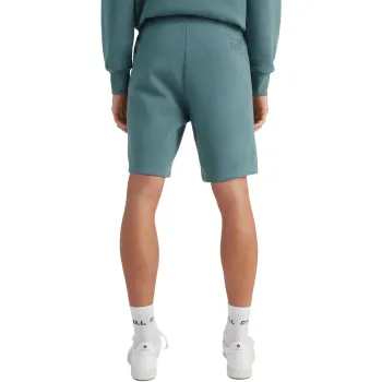 O'Neill Future Surf Short