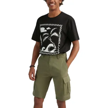 O'Neill Park Cargo Short