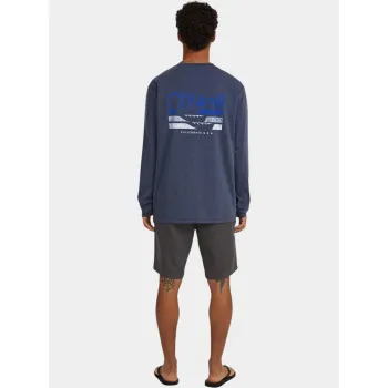 O'Neill O Neill Essentials Chino Shorts