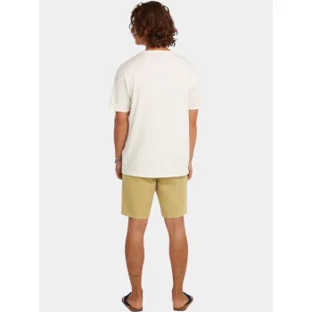 O'Neill O Riginals Walk Shorts
