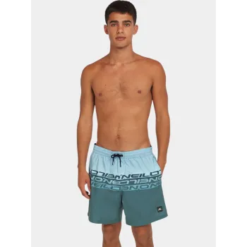 O'Neill O Neill Cali Stripe 16   Swimshorts