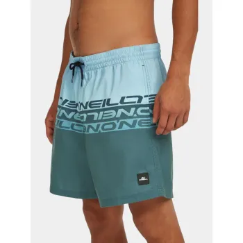 O'Neill O Neill Cali Stripe 16   Swimshorts