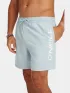 O'Neill O Neill Logo 16   Swimshorts Férfi Beachshort 15091-Spindle
