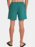 O'Neill O Neill Logo 16   Swimshorts Férfi Beachshort 15097-Botanical Heat