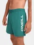 O'Neill O Neill Logo 16   Swimshorts Férfi Beachshort 15097-Botanical Heat