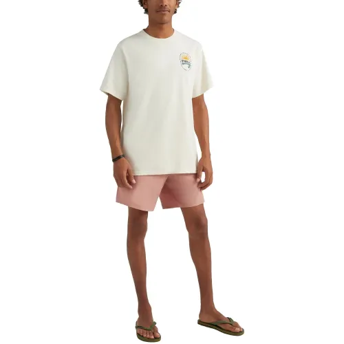 O'Neill Vinas T-Shirt Férfi Póló 11011-Birch