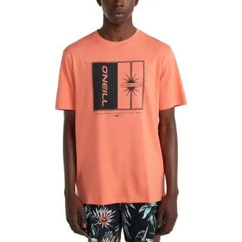 O'Neill Mix & Match Palm T-Shirt