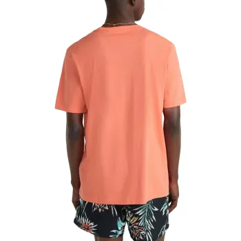 O'Neill Mix & Match Palm T-Shirt