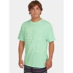 16050-Mildrew Mint