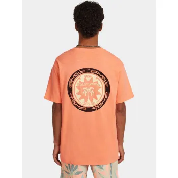 O'Neill O Neill Slub Back Print T-Shirt