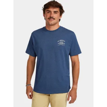 O'Neill O Neill Melange Chest Print T-Shirt