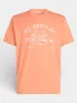 O'Neill O Neill Muir T-Shirt Férfi Póló 12535-Funky Peach