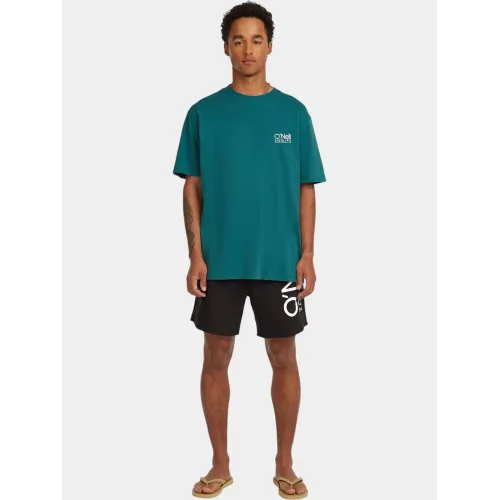 O'Neill O Riginals Cali T-Shirt Férfi Póló 15097-Botanical Heat