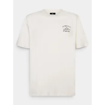 O'Neill O Neill Beach Chest Print T-Shirt