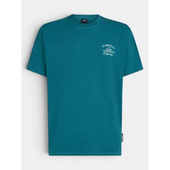 O'Neill O Neill Beach Chest Print T-Shirt