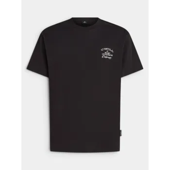 O'Neill O Neill Beach Chest Print T-Shirt