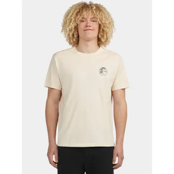 O'Neill O Riginals Back Print T-Shirt